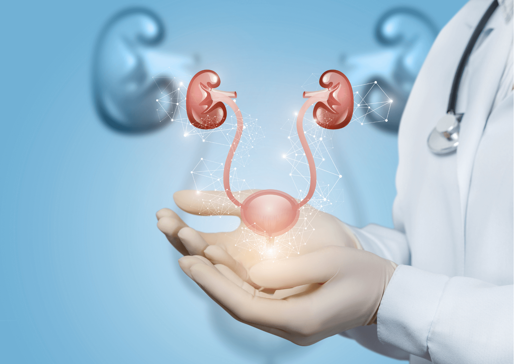 enterocystoplastie_agrandissement Sp&eacute;cialiste stomie - Mat&eacute;riel incontinence urinaire, mat&eacute;riels stomie | FSK